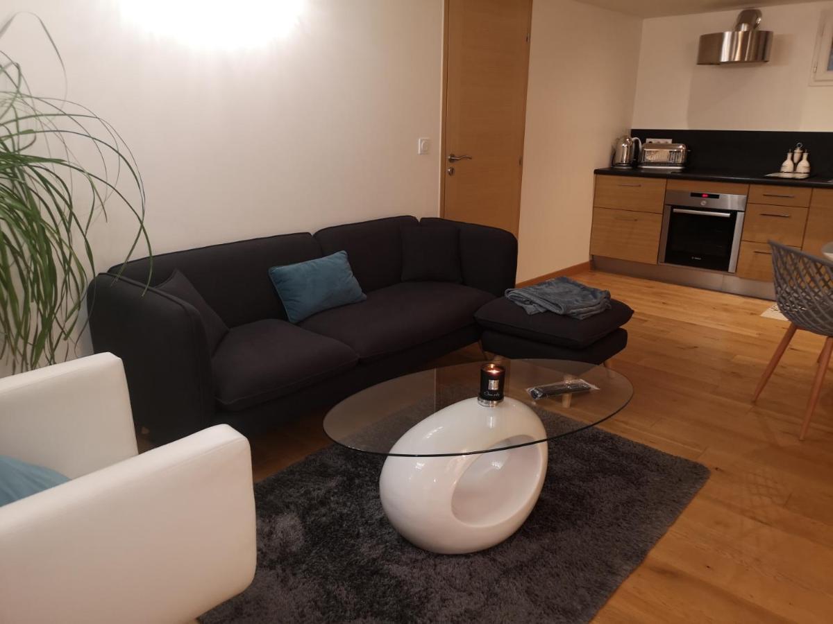 Saint Ismier Tres Bel Appartement Avec Vue Sur Les Montagnes מראה חיצוני תמונה